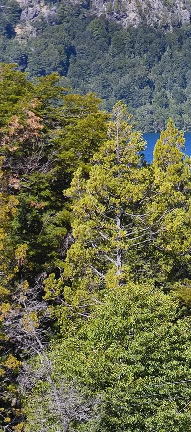 Bariloche